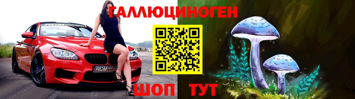 Псилоцибиновые грибы Cubensis  Вход с VPN  Черняховск  Псилоцибиновые грибы GOLDEN TEACHER 